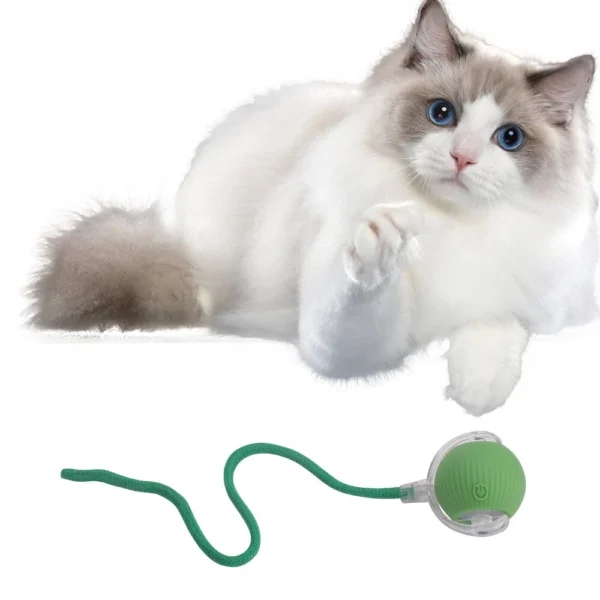 Interactive Automatic Rolling Ball for Cats - Image 2
