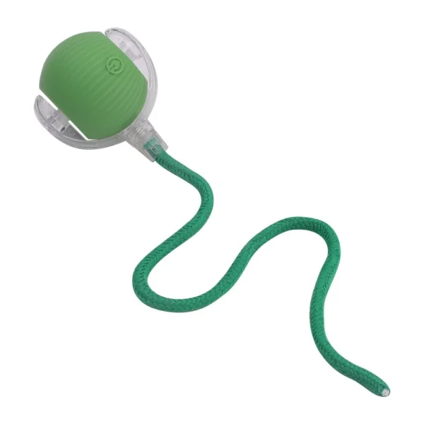 Interactive Automatic Rolling Ball for Cats