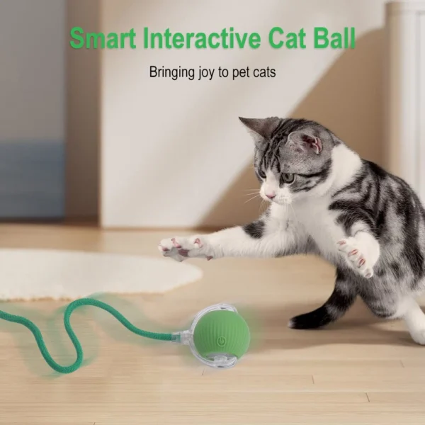 Interactive Automatic Rolling Ball for Cats - Image 4