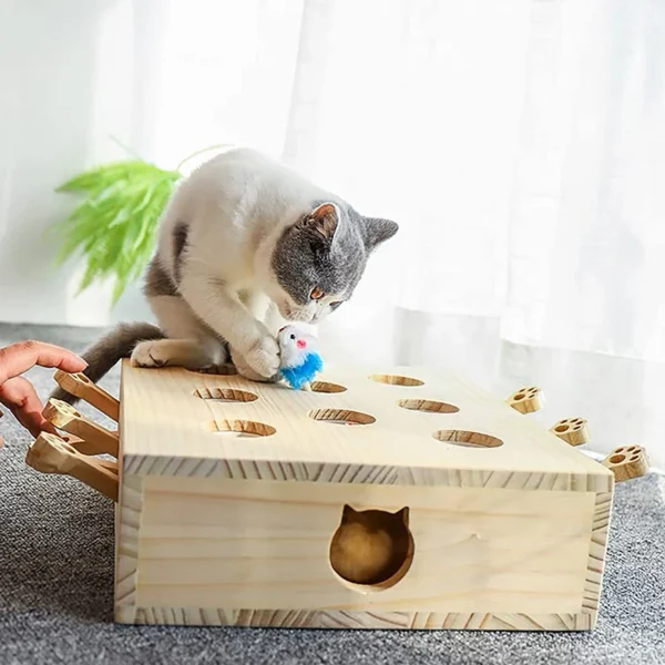 Whack A Mole Solid Wood Box - Interactive Cat Toys - Image 4
